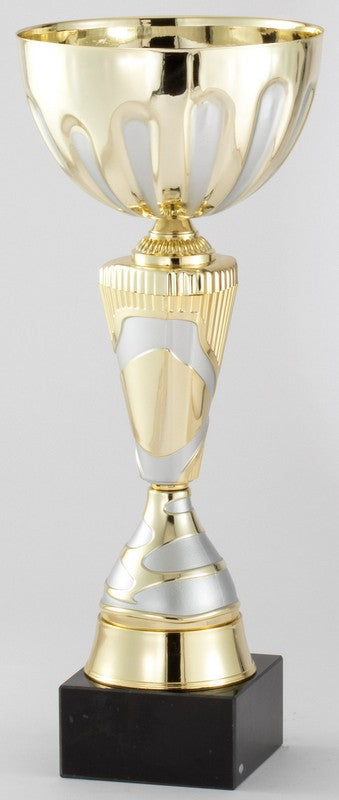 Gold and Silver Econo Cup