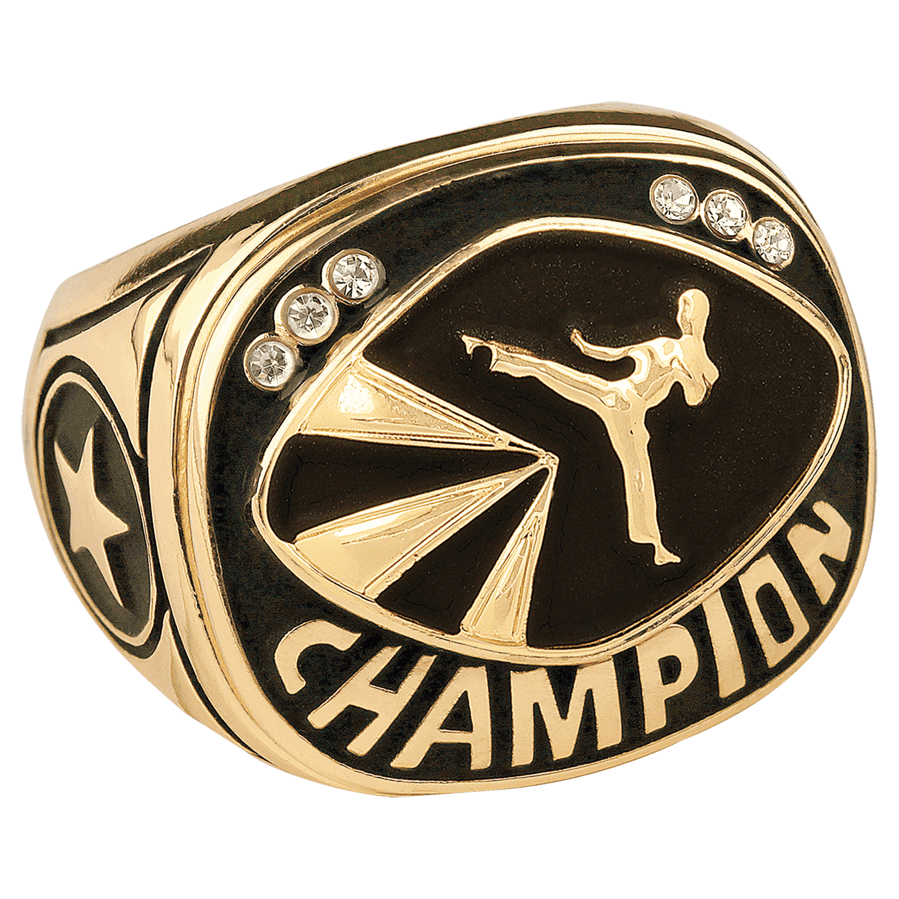 Martial Arts Championship Ring